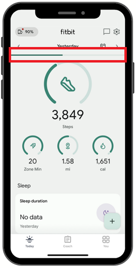 Fitbit activity screen